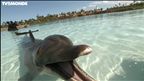 Épisode 31 : Atlantis