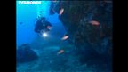 Épisode 9 : Le pain de sucre, Bastia