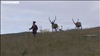 Épisode 5 : Au pays des Lapons – Norvège