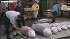 Épisode 64 : La ville où le poisson est roi – Tokyo