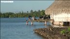Épisode 81 : Une ferme perlière à Tahaa – Polynésie