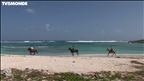Épisode 86 : L’île verte – Guadeloupe