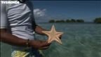 Épisode 87 : Une île bleu Caraïbes – Guadeloupe