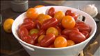 Épisode 15 : Spaghettis aux tomates confites